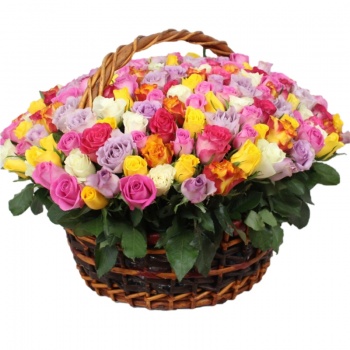 Корзина  MIX из 201 розы