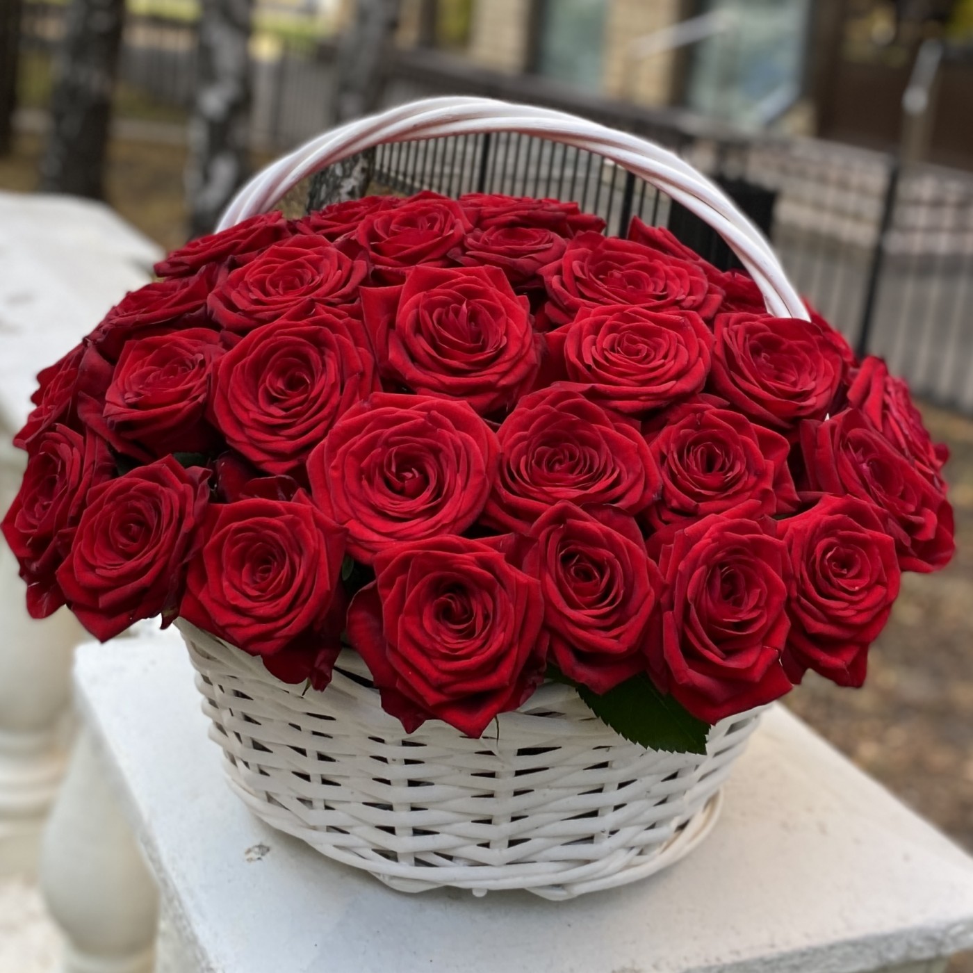 Корзина из 51 красной розы