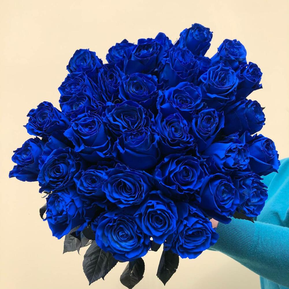 31 синяя роза Эквадор