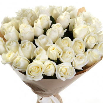 Букет из 51 белой розы 50 см.