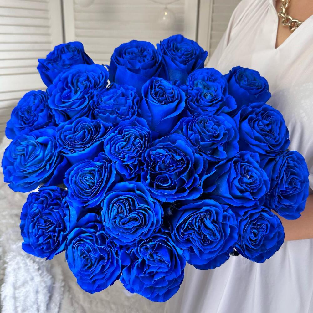 23 синие розы Премиум Эквадор