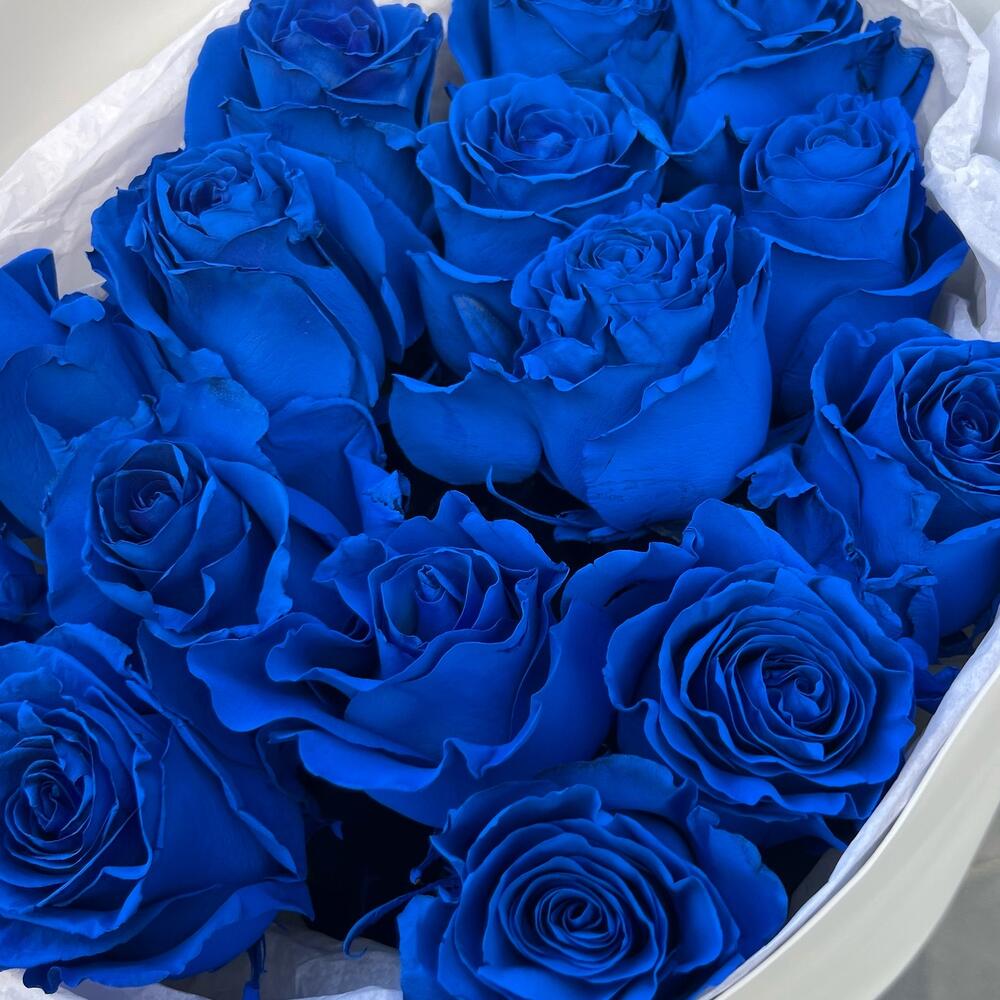 15 синих роз Эквадор