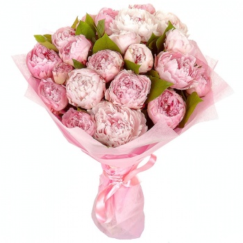 Букет из 21 розового пиона