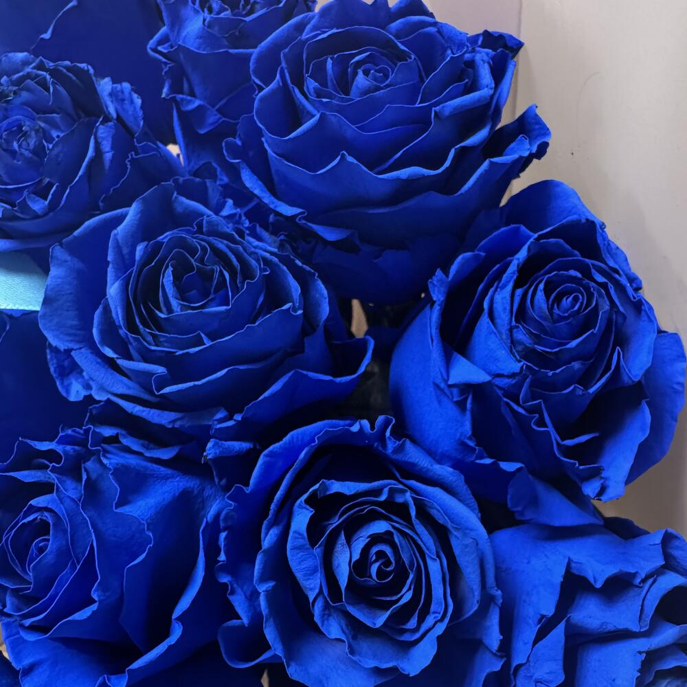 17 синих роз Эквадор