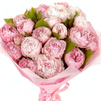 Букет из 21 розового пиона